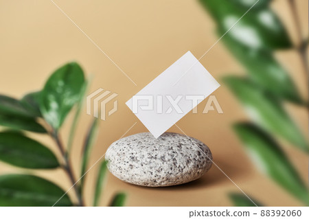 White paper business card mockup balances on pebble stone in blurred leaves frame 88392060