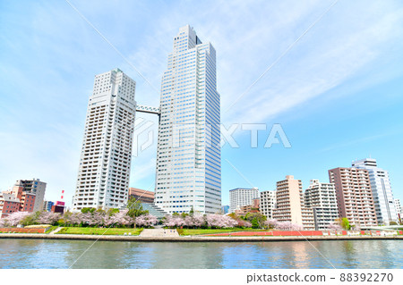 聖道嘉塔周圍（東京都中央區）[2022.4] 88392270