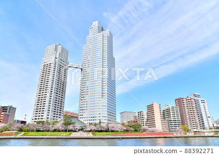 聖道嘉塔周圍（東京都中央區）[2022.4] 88392271