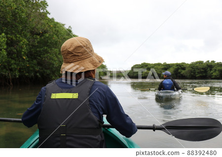 沖繩石垣島紅樹林海上皮划艇 88392480