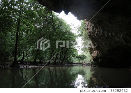 沖繩石垣島紅樹林海上皮划艇 沖繩石垣島紅樹林海上皮划艇 88392482