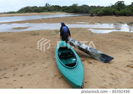 Okinawa Ishigaki Island Mangrove Sea Kayaking Okinawa Ishigaki Island Mangrove Sea Kayaking 88392498