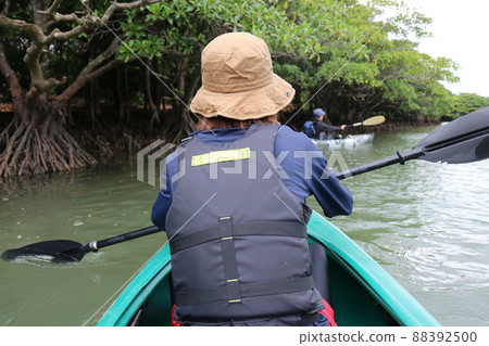 Okinawa Ishigaki Island Mangrove Sea Kayaking Okinawa Ishigaki Island Mangrove Sea Kayaking 88392500
