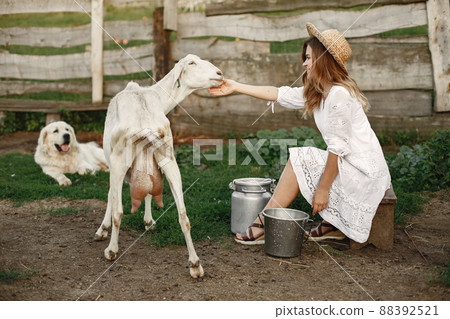 Girl farmer with white goat. Woman and small goat green grass. Eco farm. Farm and farming concept. Village animals. 88392521