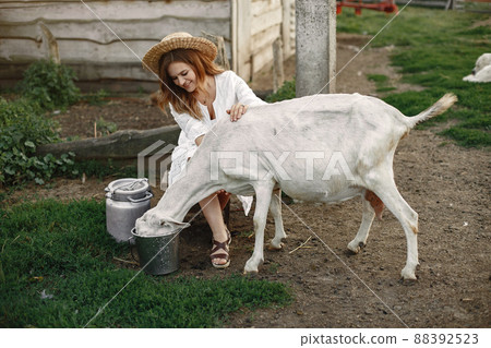 Girl farmer with white goat. Woman and small goat green grass. Eco farm. Farm and farming concept. Village animals. 88392523