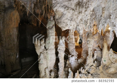 Ishigaki Island Limestone Cave Okinawa Prefecture Ishigaki Island Limestone Cave Okinawa Prefecture 88392593