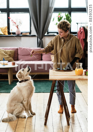 Young woman with prosthetic arm standing at wooden table and training her dog in room 88393235