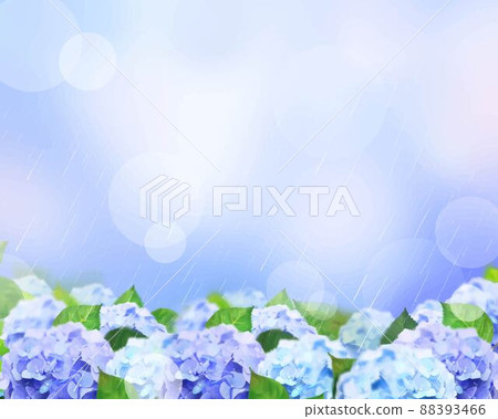 Beautiful lilac hydrangea and leaves that bloom in the rainy season during the rainy season. 88393466