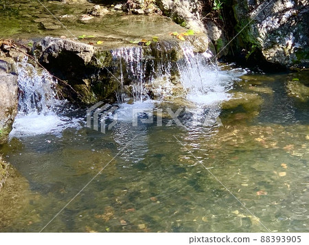 A refreshing clear stream of fresh green A refreshing clear stream of fresh green 88393905
