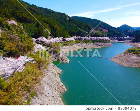 Aerial view of Hyugami Dam cherry blossom spot with drone 88394072