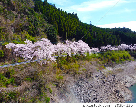 Aerial view of Hyugami Dam, a famous place for cherry blossoms, with a drone 88394130