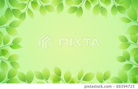 Vector illustration background of fresh green leaves (fresh, copy space) Vector illustration background of fresh green leaves (fresh, copy space) 88394725