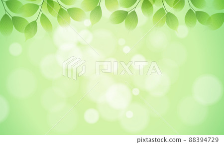 新鮮綠葉和散景燈的矢量插圖背景（新鮮，複製空間） 88394729