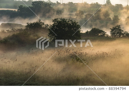 The water fog is Mihocheon The water fog is Mihocheon 88394794