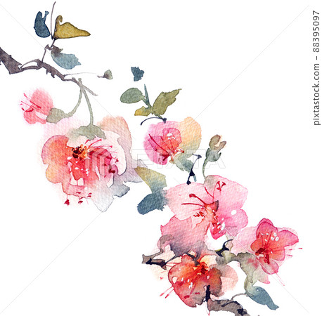 Blossom tree branch 88395097