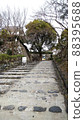 Cobblestones to Inuyama Castle and winter 88395688
