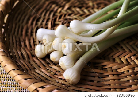 Nobile 堆積在濾鍋裡 Nobile 堆積在濾鍋裡 88396980