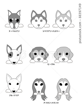 狗正面(帶手))5犬種9犬組)灰度 狗正面(帶手))5犬種9犬組)灰度 88397149