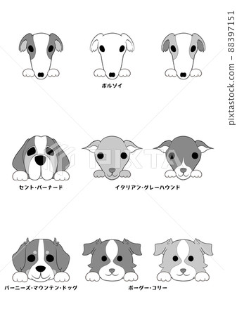 Dog's front face (with hand)) 5 dog breeds 9 dogs set) Gray scale Dog's front face (with hand)) 5 dog breeds 9 dogs set) Gray scale 88397151