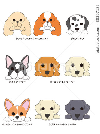 狗的正面（帶手））6狗品種9狗套裝）全彩 88397185