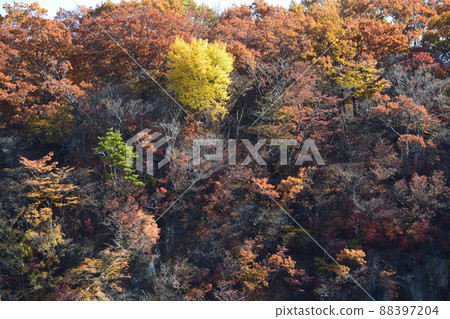 I went to Yukiwari Kaya. # 71 88397204