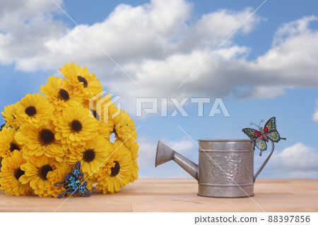 Yellow Flowers and Metal Water Can with Blue Sky Background Yellow Flowers and Metal Water Can with Blue Sky Background 88397856