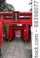 Torii of a shrine famous for marriage 88398077