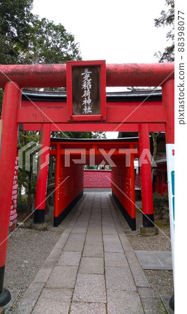以結婚而聞名的神社鳥居 以結婚而聞名的神社鳥居 88398077