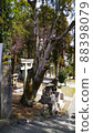 Torii, guardian dog and lantern 88398079