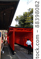 Torii of a shrine famous for marriage 88398082
