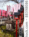 Guardian dog at the entrance of Inari Shrine 88398086