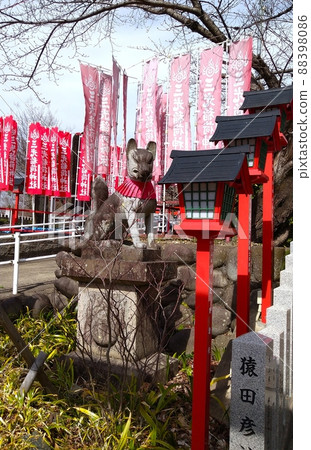 稻荷神社入口處的守護犬 稻荷神社入口處的守護犬 88398086
