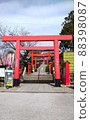 Torii of a shrine famous for marriage 88398087