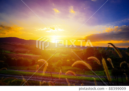Beautiful sunset at Khaoyai Beautiful sunset at Khaoyai 88399009