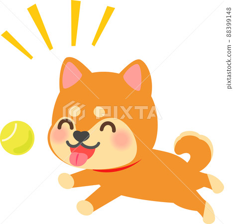 柴犬玩追球 柴犬玩追球 88399148