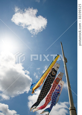 Blue sky and carp streamer vertical 88399325