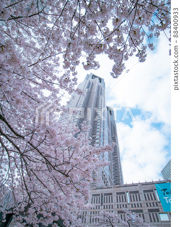 Cherry blossoms blooming in the Tokyo Metropolitan Government Cherry blossoms blooming in the Tokyo Metropolitan Government 88400933