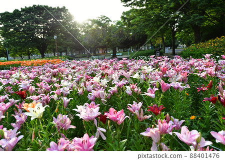 Chikusa Park 88401476