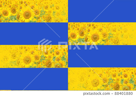 Seamless plaid with the image of a sunflower field with the Ukrainian flag as a motif 88401880