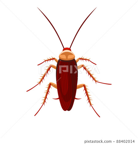Cockroach Bug Icon on White Background. Vector 88402014