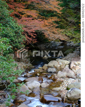 那卡河流域秋穀峽谷 88402422