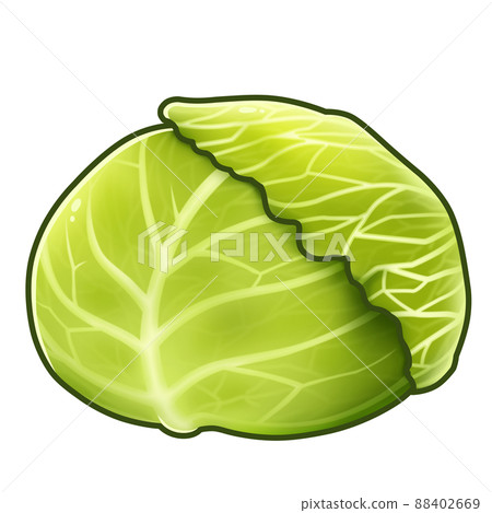 白菜插圖素材 白菜插圖素材 88402669