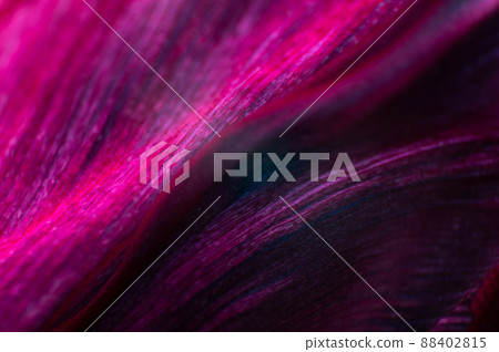 Extreme macro Bright close-up of a flower petal in pink. Abstract flower petal texture background. Extreme macro Bright close-up of a flower petal in pink. Abstract flower petal texture background. 88402815