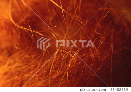 Macro photo. Close-up abstract textile fiber red-orange color extreme macro in shallow depth of field. Abstract background Macro photo. Close-up abstract textile fiber red-orange color extreme macro in shallow depth of field. Abstract background 88402819