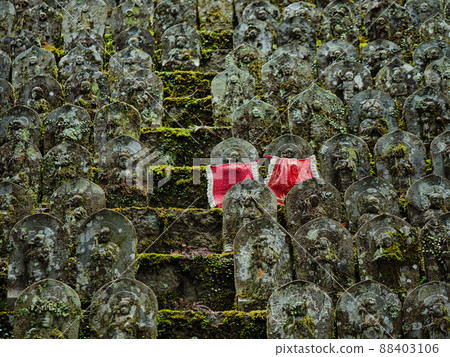 Countless Jizo along the approach to Iwaya-ji Temple 88403106