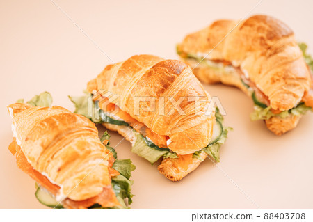 Sandwiches with red fish and salad on light background 88403708