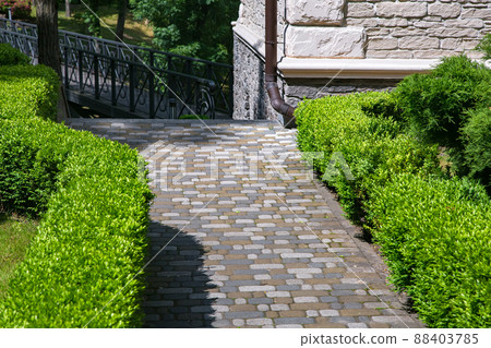 a stone tile path paved in the backyard with green clipped boxwood bushes at the corner of the facade of the house made of decorative rough stone and a storm sewer on a sunny summer day. 88403785
