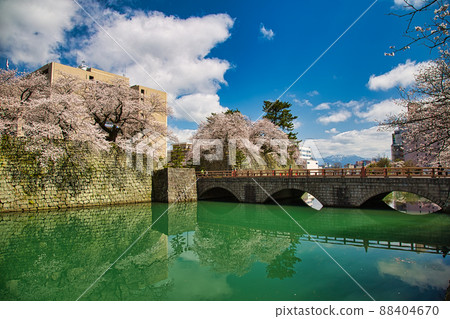 Sakura-Fukui Prefectural Office 88404670