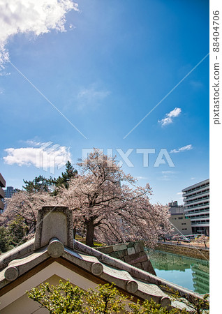 Sakura-Fukui Prefectural Office 88404706