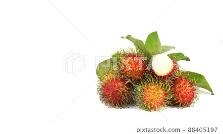 Rongrien Nasan Rambutan is  the most famous rambutan species in Thailand , isolated on white 88405197